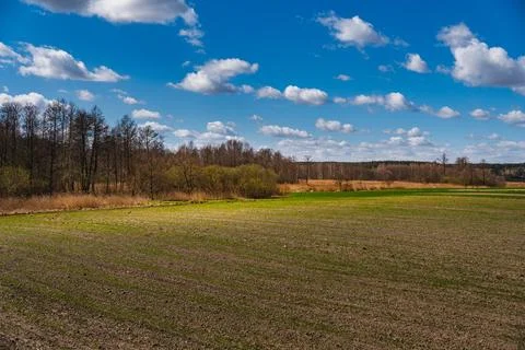 A rural landscape with empty fields in early spring Фото