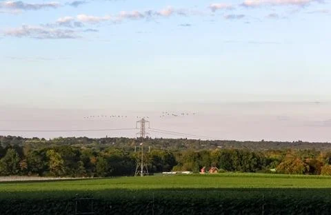 Rural landscape featuring a green raspberry field, dense forest hills, a larg Stock Photos