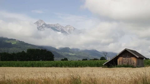 Rural landscape with field of wheat Stock Footage 76977131