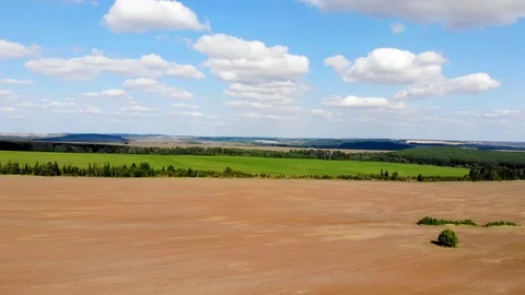 Rural landscape. Fields to the horizon. View from above Stock Footage 94420230