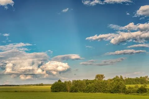 Rural landscape with fields, a line of trees on the horizon, and cumulus clouds Stock Photos