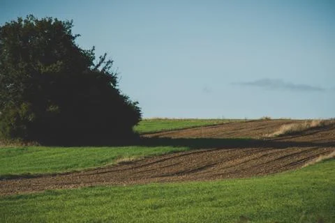 Rural landscape with fields Stock Photos