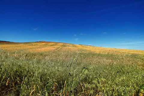 Rural landscape with fields Stock-Fotos