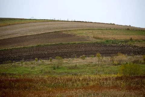 Rural Landscape with Fields Stock Photos