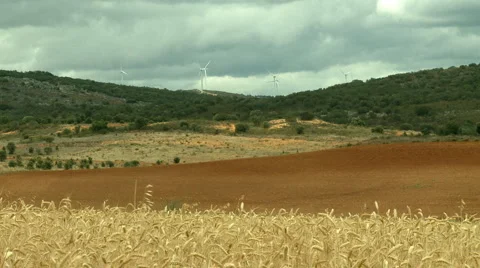 Rural landscape Stock Footage 5505358