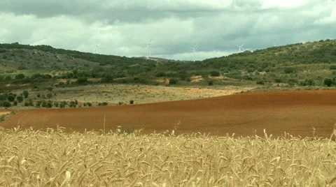 Rural landscape Stock Footage 5505366