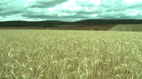 Rural landscape Stock Footage 5505367