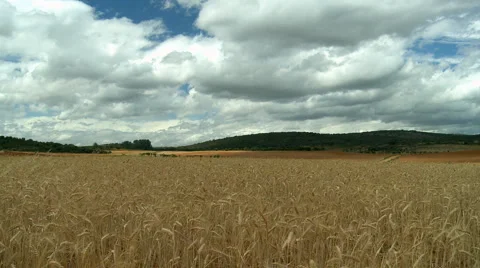 Rural landscape Stock Footage 5505394