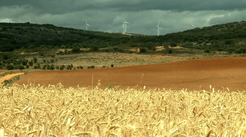 Rural landscape Stock Footage 5505395