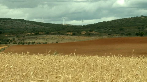 Rural landscape Stock Footage 5505407