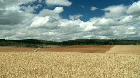 Rural landscape Stock Footage 5505414