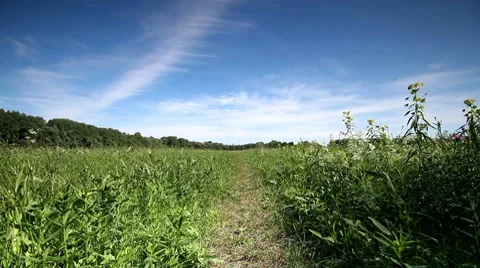 Rural landscape. Видео 8681993