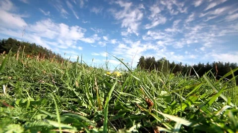 Rural landscape. Stock Footage 8682033