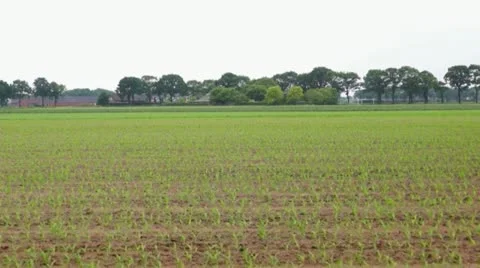 Rural landscape Stock Footage 11148831