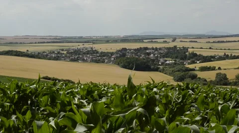Rural landscape Stock Footage 41993328