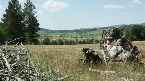 Rural landscape Stock Footage 76890688