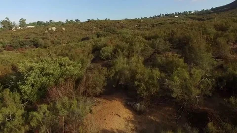 Rural Landscape Stock Footage 81196666