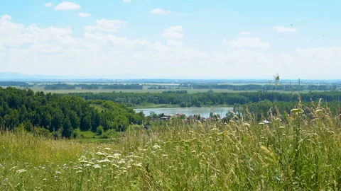 Rural landscape. Stock Footage 92914859
