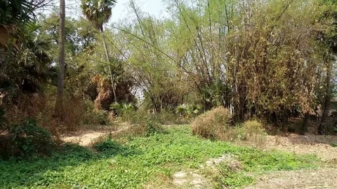 Rural Landscape Stock Footage 108677522