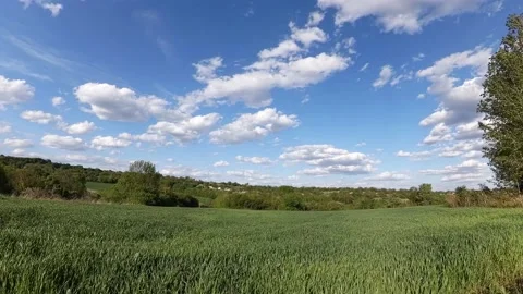 Rural Landscape Stock Footage 196711428