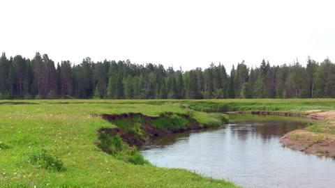 Rural landscape Stock Footage 305393493