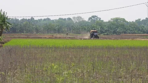 Rural landscape Video stock 333993790