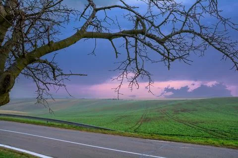 Rural landscape with a green field, a bare tree, an asphalt road and a pict.. Stock Photos