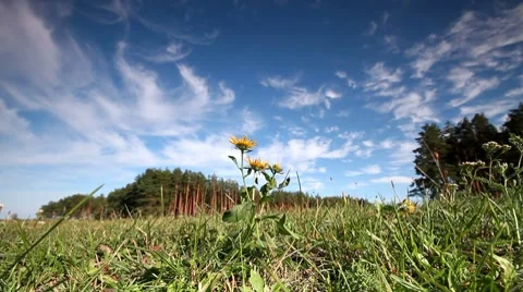 Rural landscape. I. Vídeo Stock 8677945