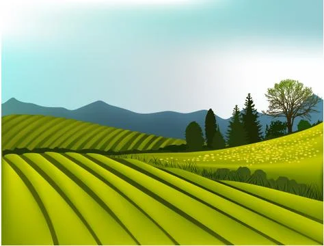 Rural landscape Stockillustratie