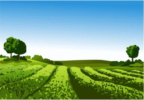 Rural landscape Stockillustratie