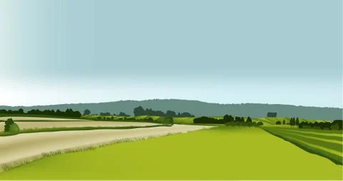 Rural landscape Stock Illustration