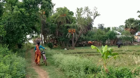 Rural Landscape in India Stock Footage 110865723