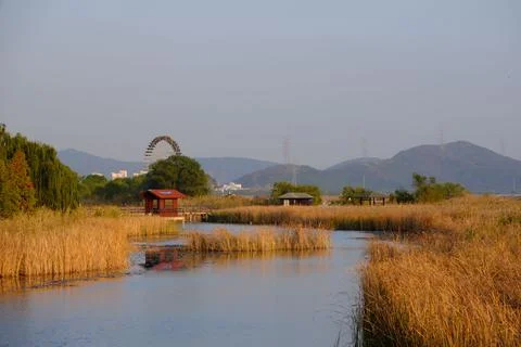 Rural landscape of a lake shore with a Ferris wheel carousel in the background Stock Photos