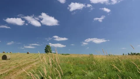 Rural landscape with lonely tree, blue sky, green grass and hay bales 스톡 동영상 157449032