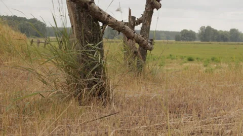 Rural Landscape. Motorized Slider Stock Footage 30452152