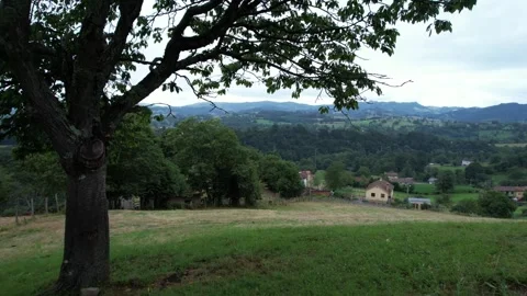 Rural landscape passing under a tree - 302 Stock Footage 310552315