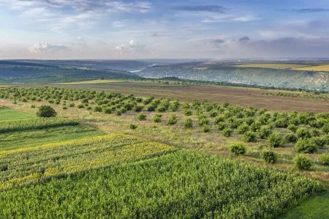 Rural landscape with patchwork of fields in Saharna Noua village, Moldova 스톡 사진