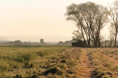 Rural Landscape with Path, Open Fields, and Trees at Sunrise Stock Photos