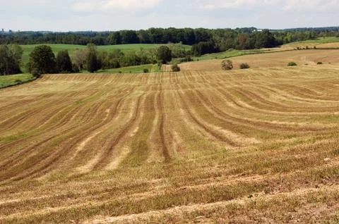 Rural landscape Stock Photos