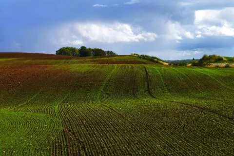 Rural landscape Stock Photos
