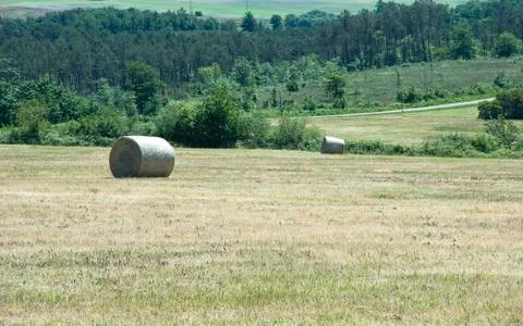 Rural landscape Stock Photos