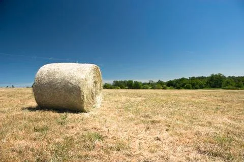 Rural landscape Stock Photos