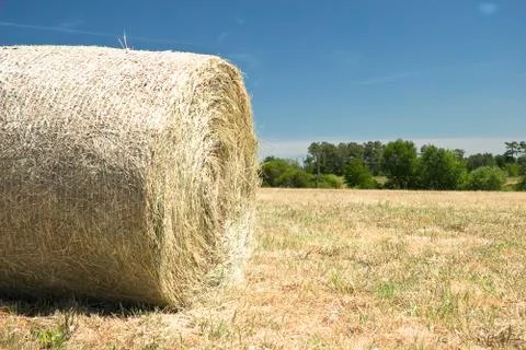 Rural landscape Stock Photos