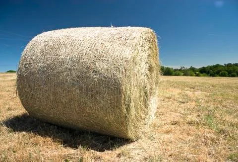 Rural landscape Stock Photos
