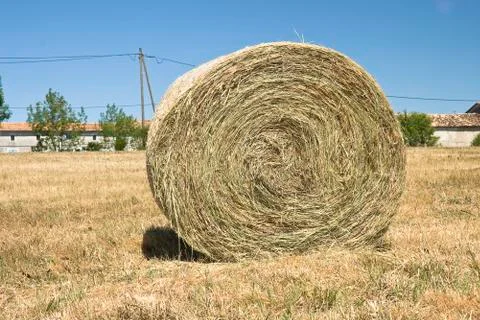 Rural landscape Stock Photos