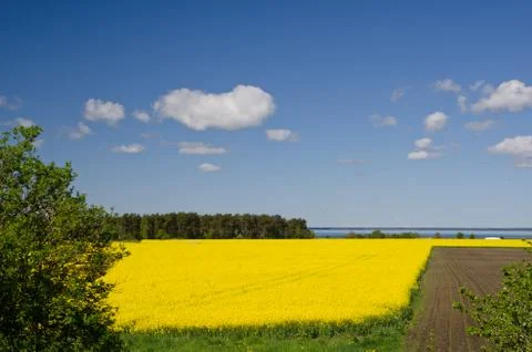 Rural landscape Stock Photos