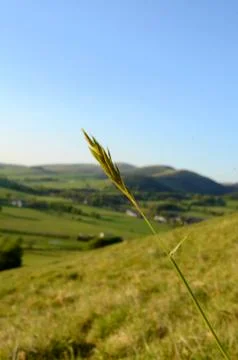 Rural landscape Foto stock
