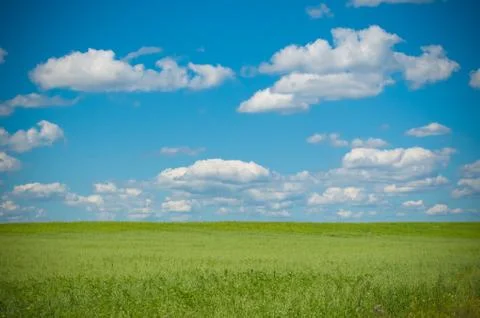 Rural landscape Stock Photos