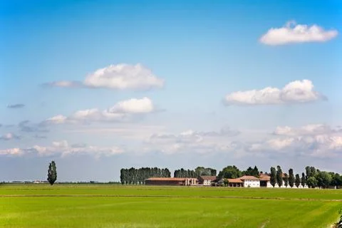 Rural landscape Stock Photos
