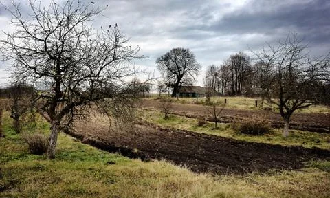 Rural landscape Foto stock
